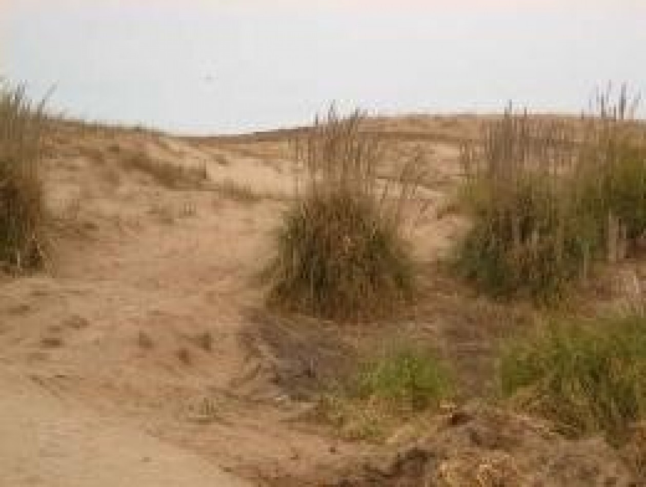  Venta de Campo con costa de playas virgenes , Pinamar
