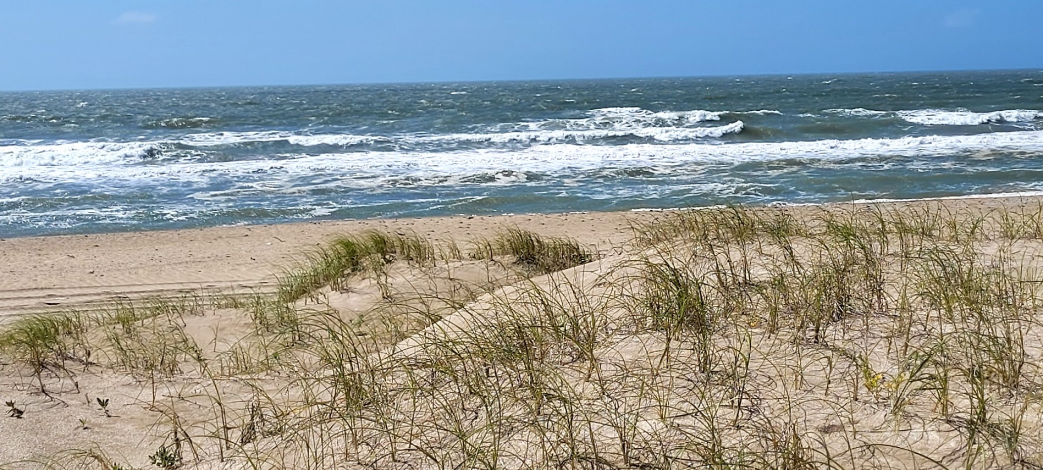  Venta de Campo con costa de playas virgenes , Pinamar