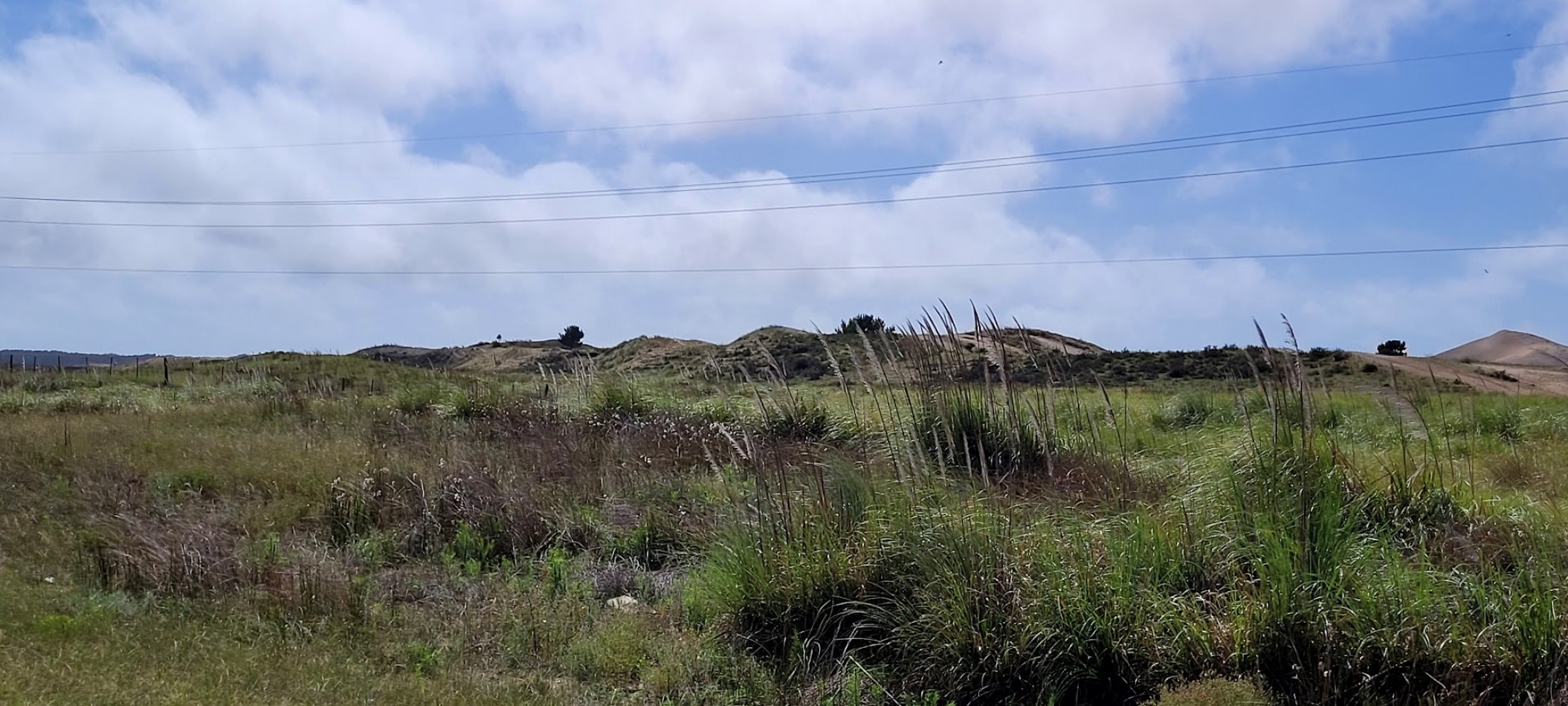  Venta de Campo con costa de playas virgenes , Pinamar