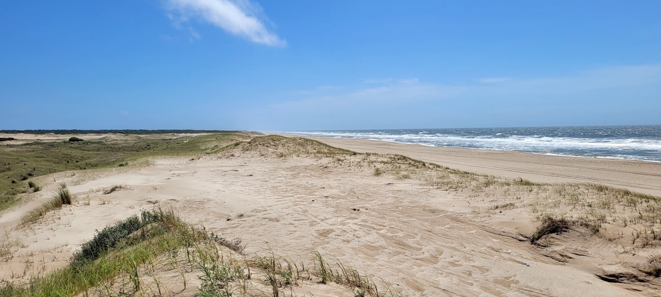  Venta de Campo con costa de playas virgenes , Pinamar